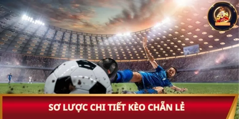 Sơ lược chi tiết kèo chẵn lẻ